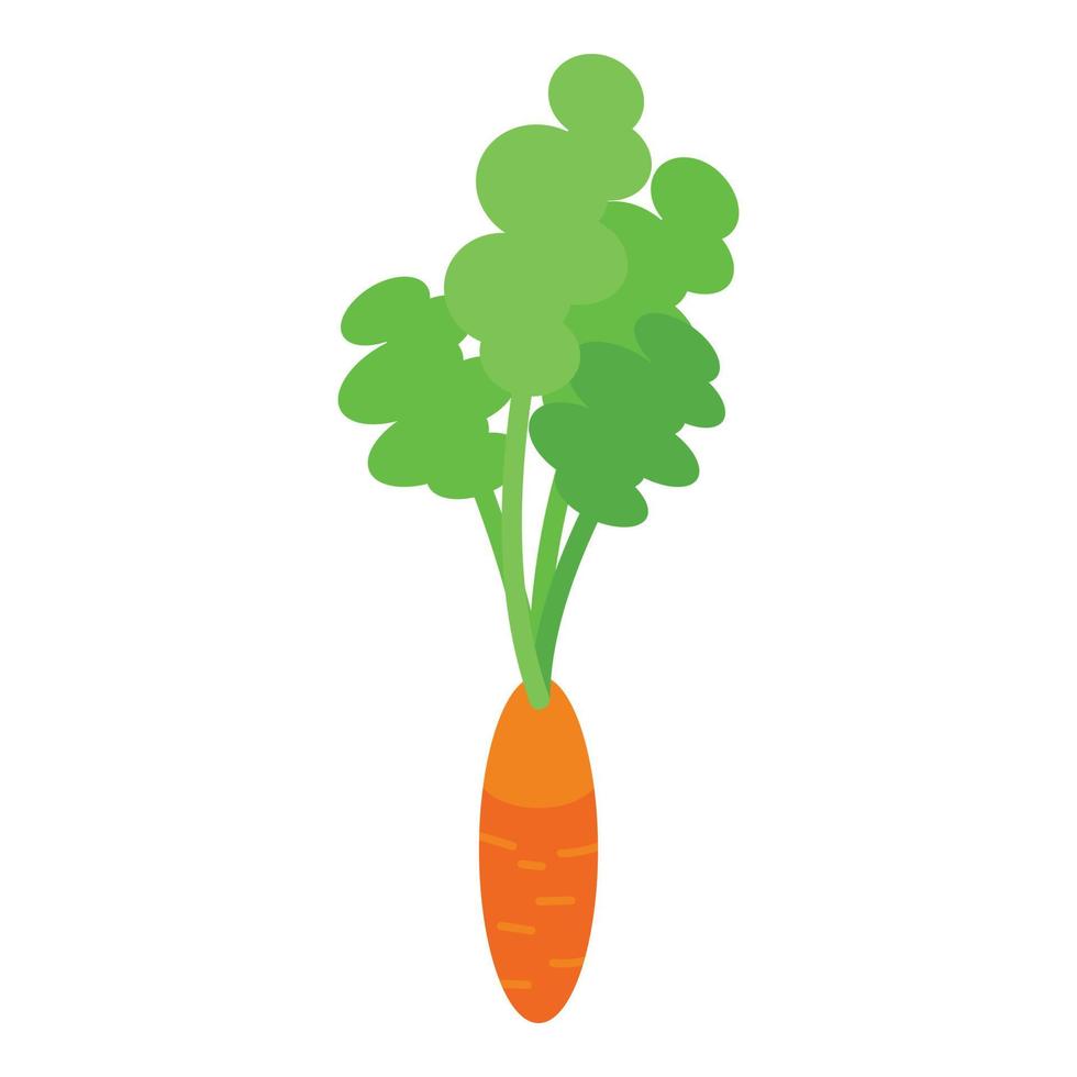ícone de cenoura de jardim, estilo isométrico vetor