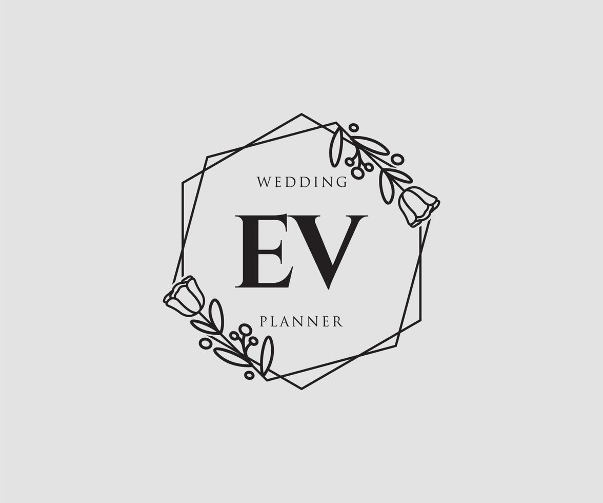 logo feminino inicial ev. utilizável para logotipos de natureza, salão, spa, cosméticos e beleza. elemento de modelo de design de logotipo de vetor plana.