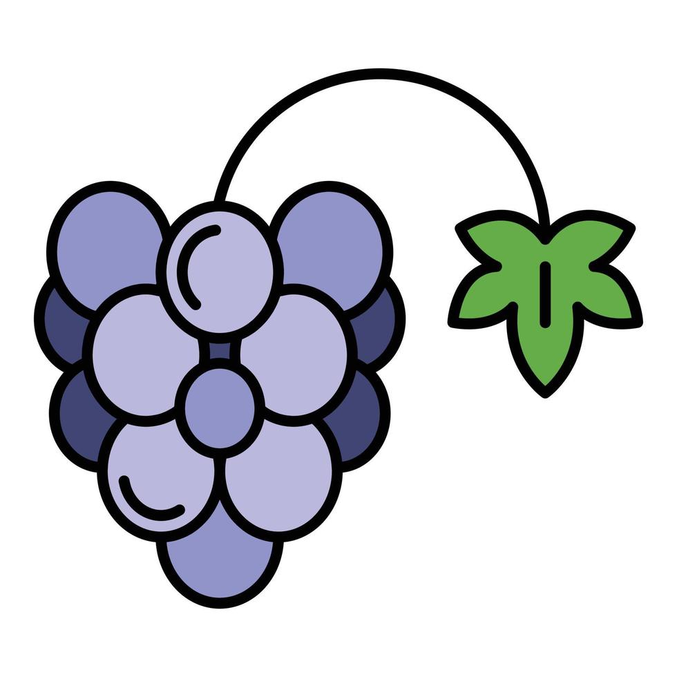 vetor de contorno de cor de ícone de uva de fazenda