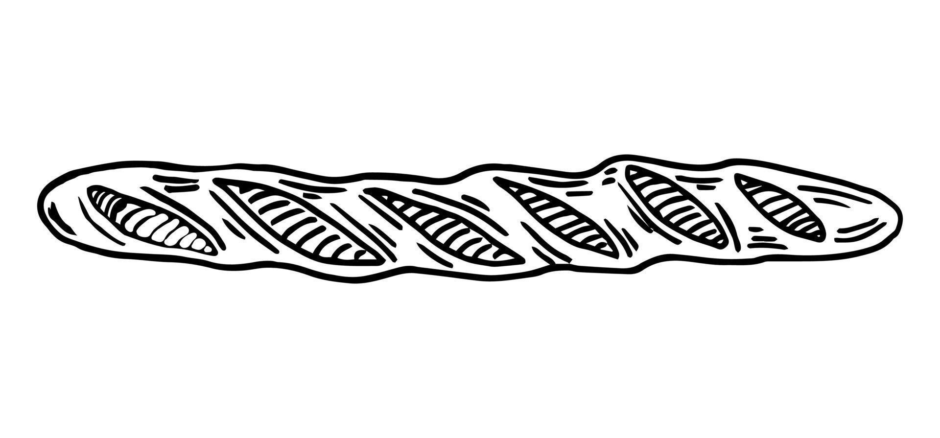 pão de baguete de desenho vetorial desenhado à mão isolado no fundo branco vetor