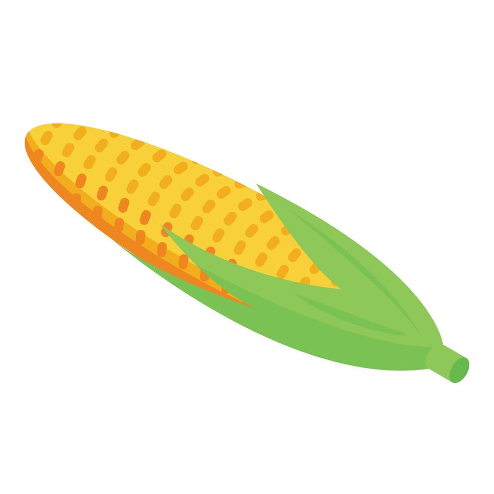 ícone de milho, estilo isométrico vetor