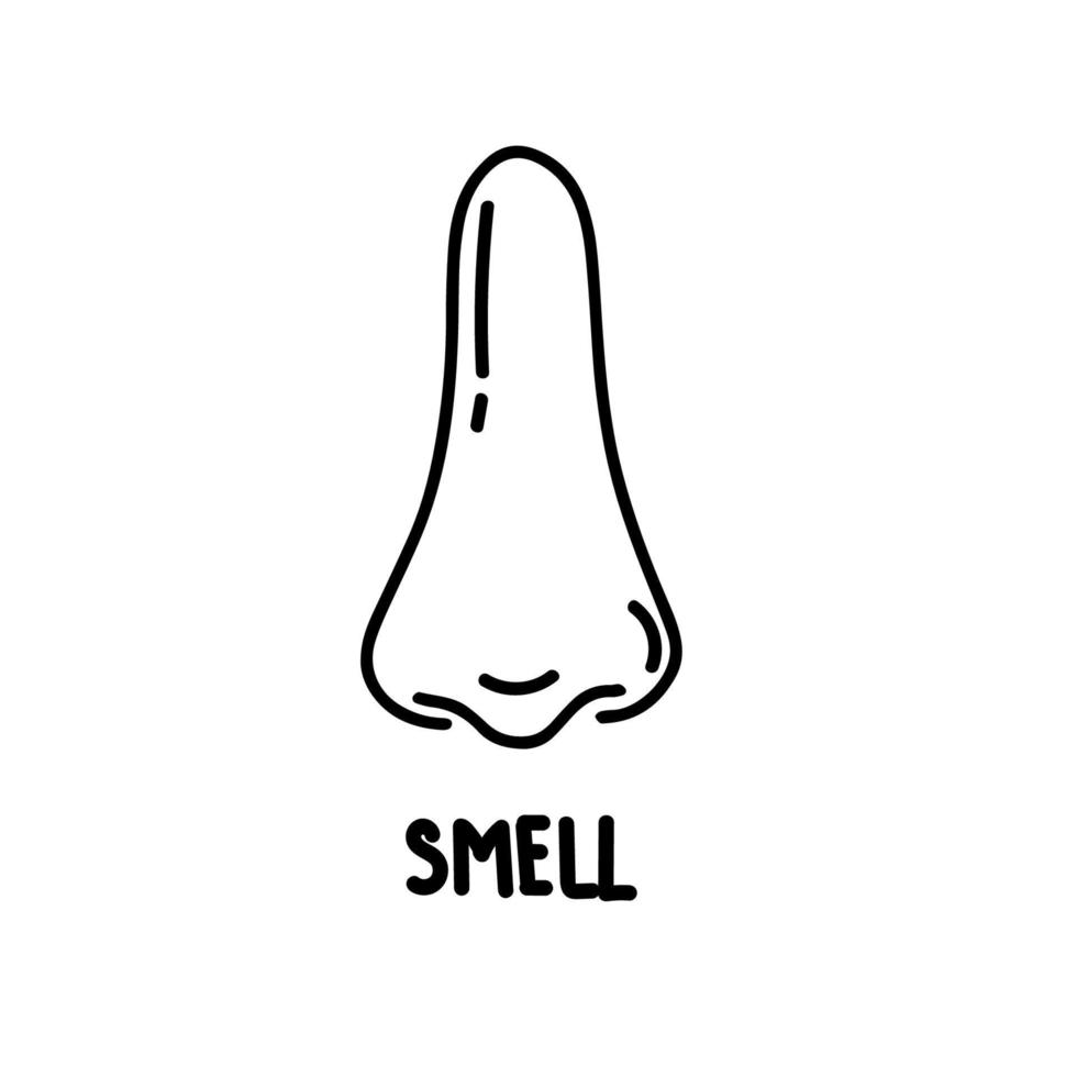 órgão do olfato humano, nariz. biologia, anatomia do homem e órgãos humanos, corpo. nariz, parte do corpo, percepção de odores do ambiente. vista lateral, medicina, ciência, sensações. ilustração vetorial. vetor