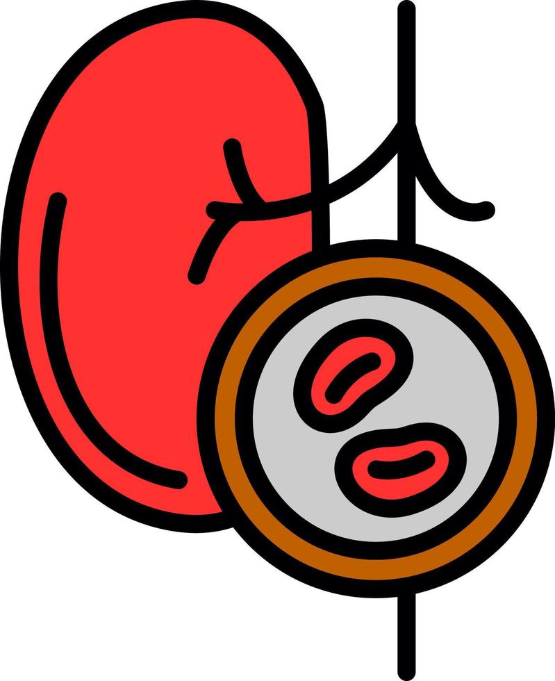 design de ícone vetorial de check-up renal vetor