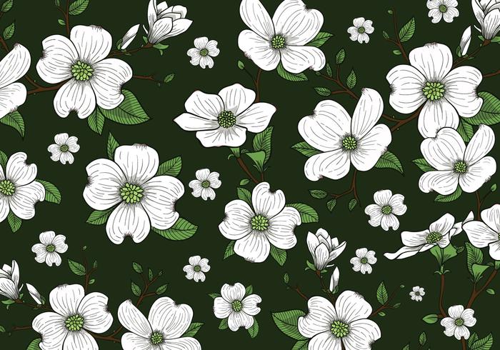 Papel de Parede Fundo de Flores Dogwood vetor