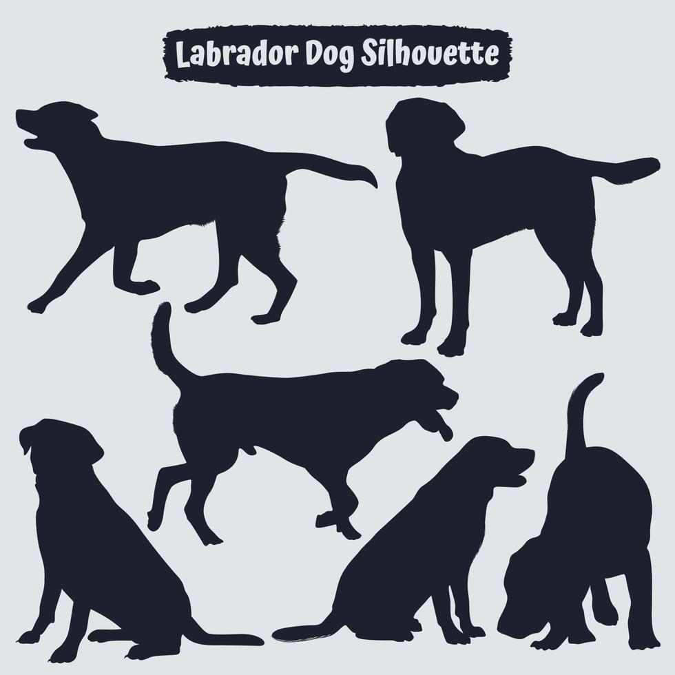 coleção de cão labrador animal em diferentes posições vetor