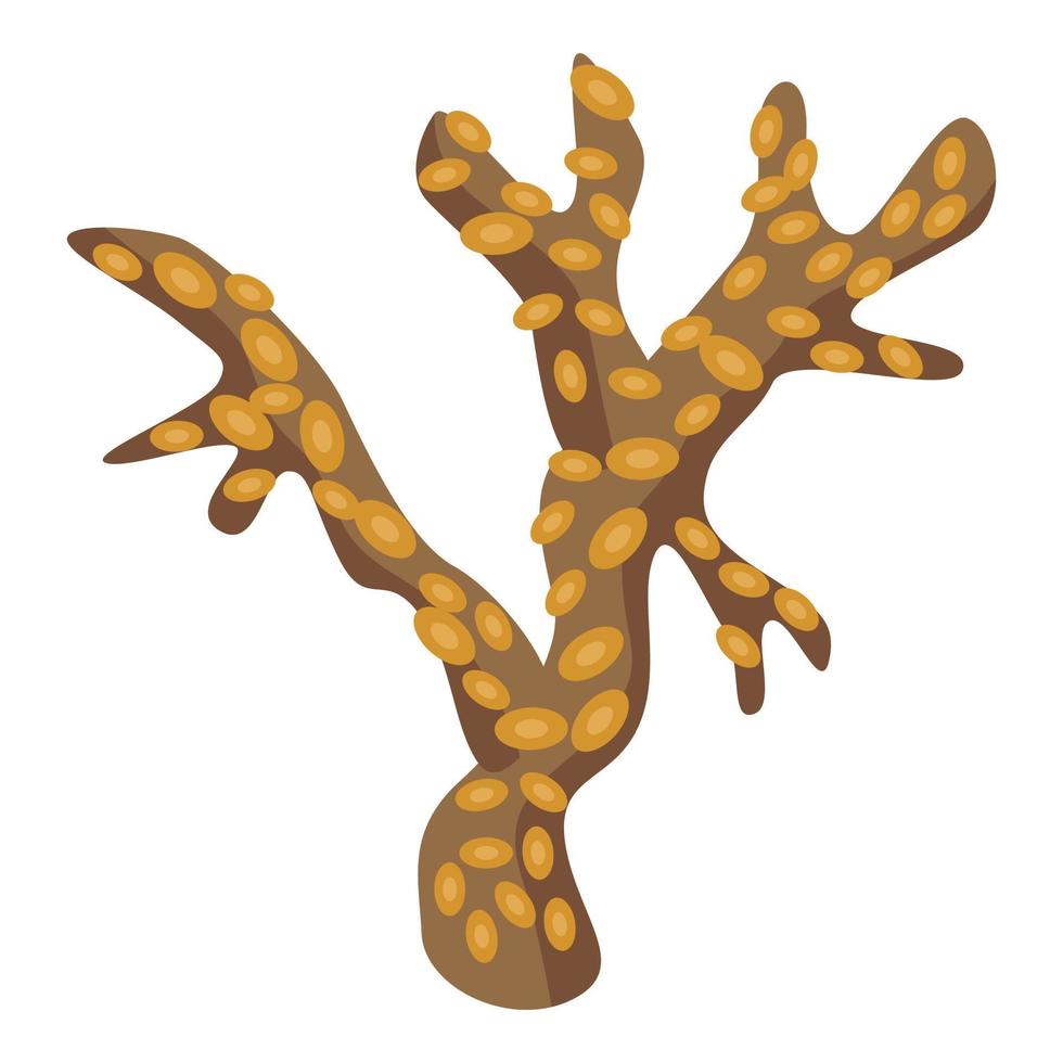 ícone de coral de ouro marrom, estilo isométrico vetor