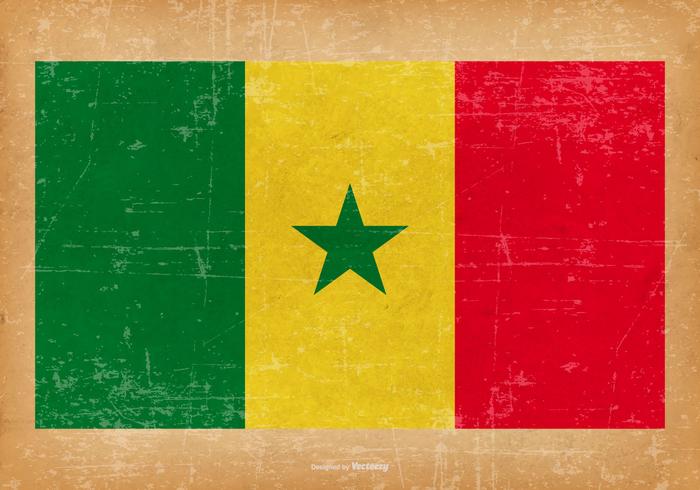 Bandeira do grunge do Senegal vetor