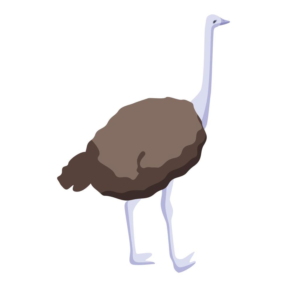 ícone de avestruz de fazenda, estilo isométrico vetor