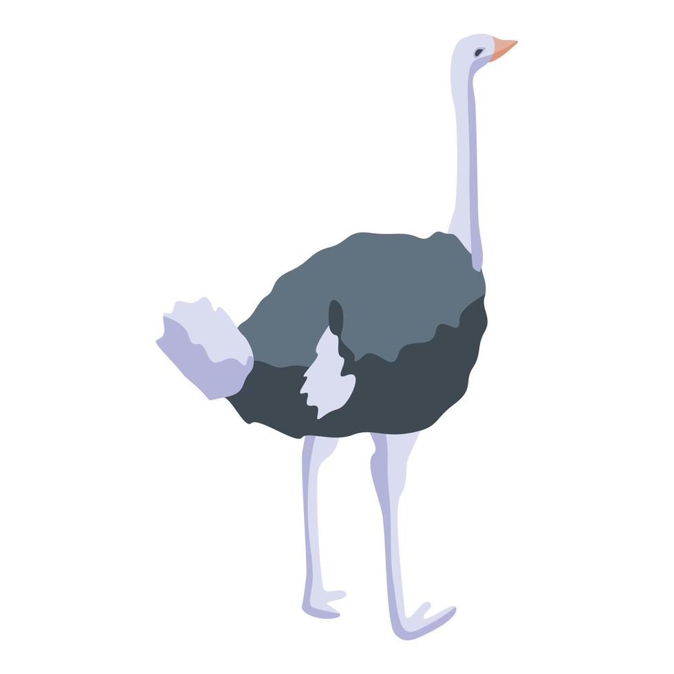 ícone de avestruz branco preto, estilo isométrico vetor