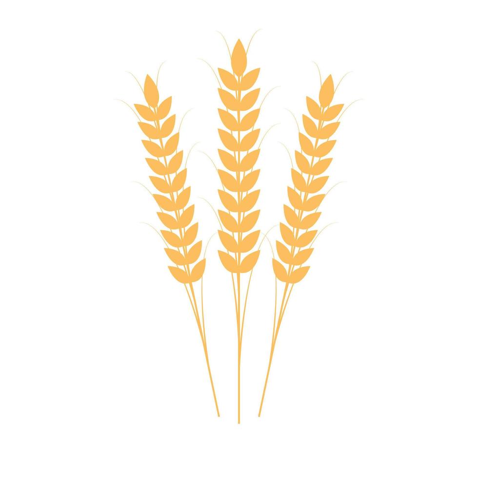 símbolo de arroz. vetor de símbolo de trigo. papel de parede. design de logotipo.