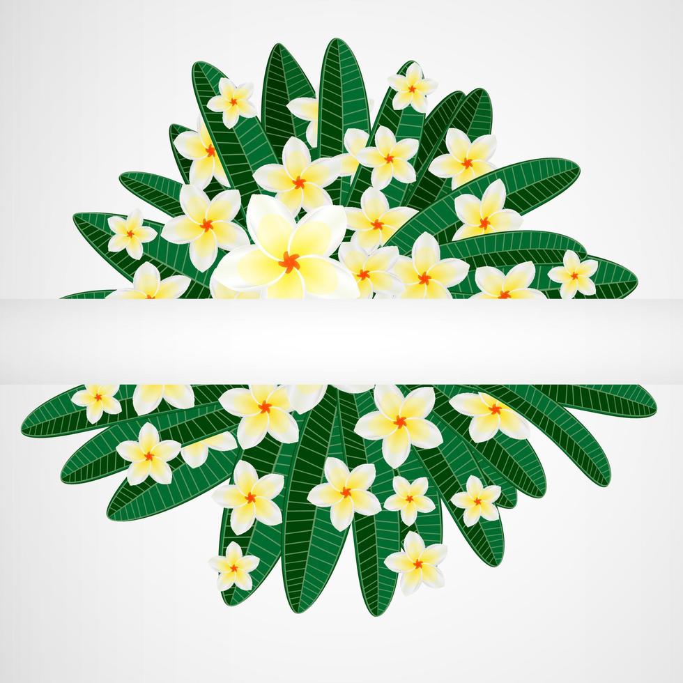 fundo de design floral. flores de plumeria com pássaros, borboletas. vetor