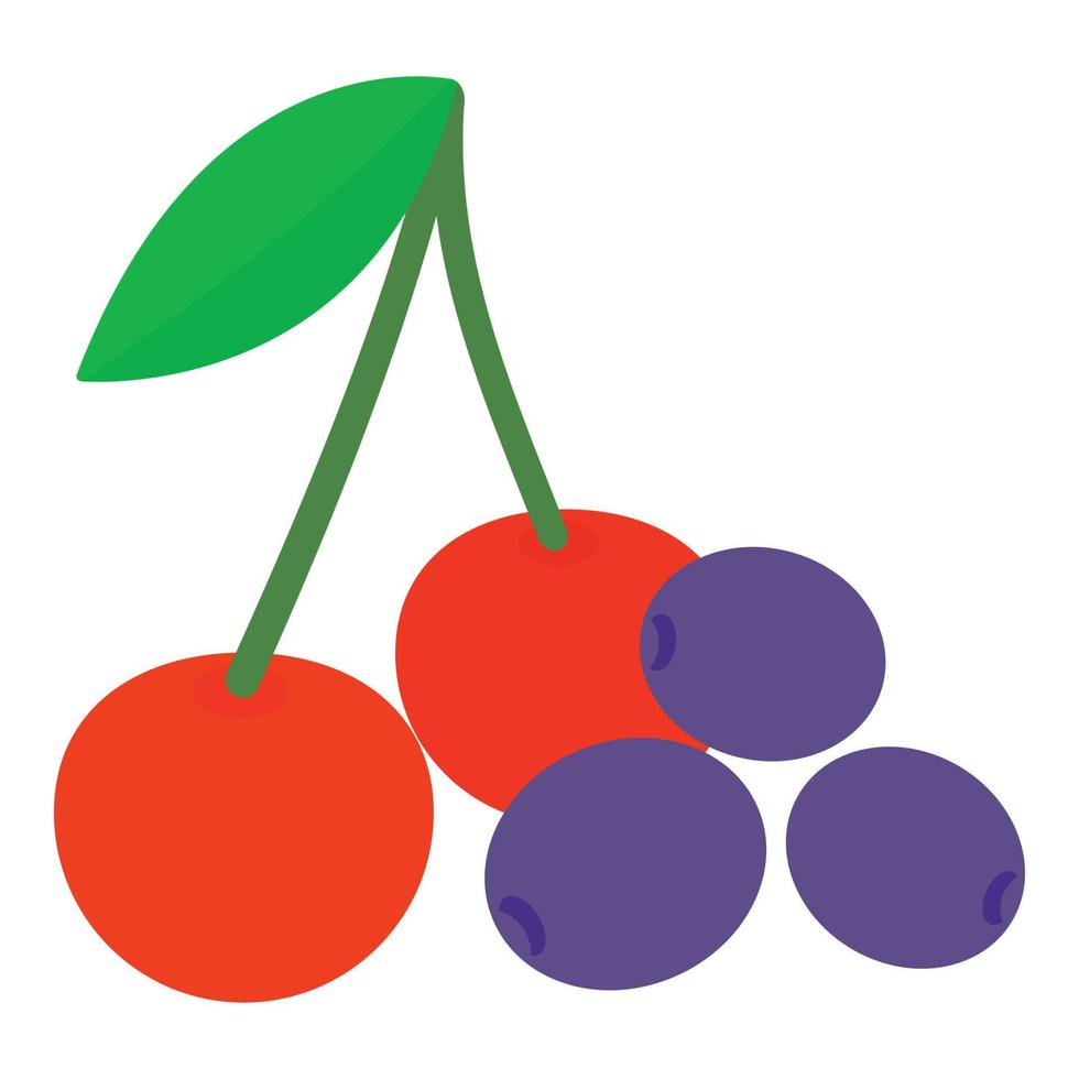 ícone de frutas frescas, estilo isométrico vetor