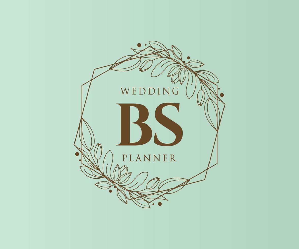 bs letras iniciais coleção de logotipos de monograma de casamento, modelos minimalistas e florais modernos desenhados à mão para cartões de convite, salve a data, identidade elegante para restaurante, boutique, café em vetor