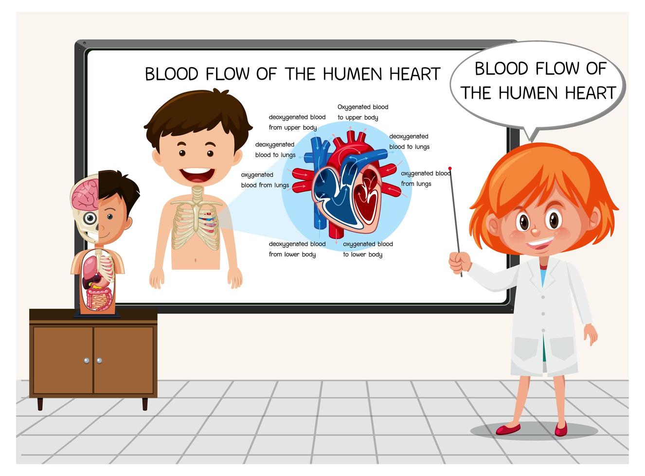 jovem cientista explicando o fluxo sanguíneo do coração humano vetor