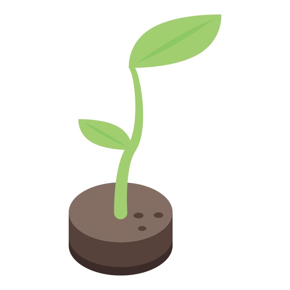 ícone de planta de solo ecológico, estilo isométrico vetor
