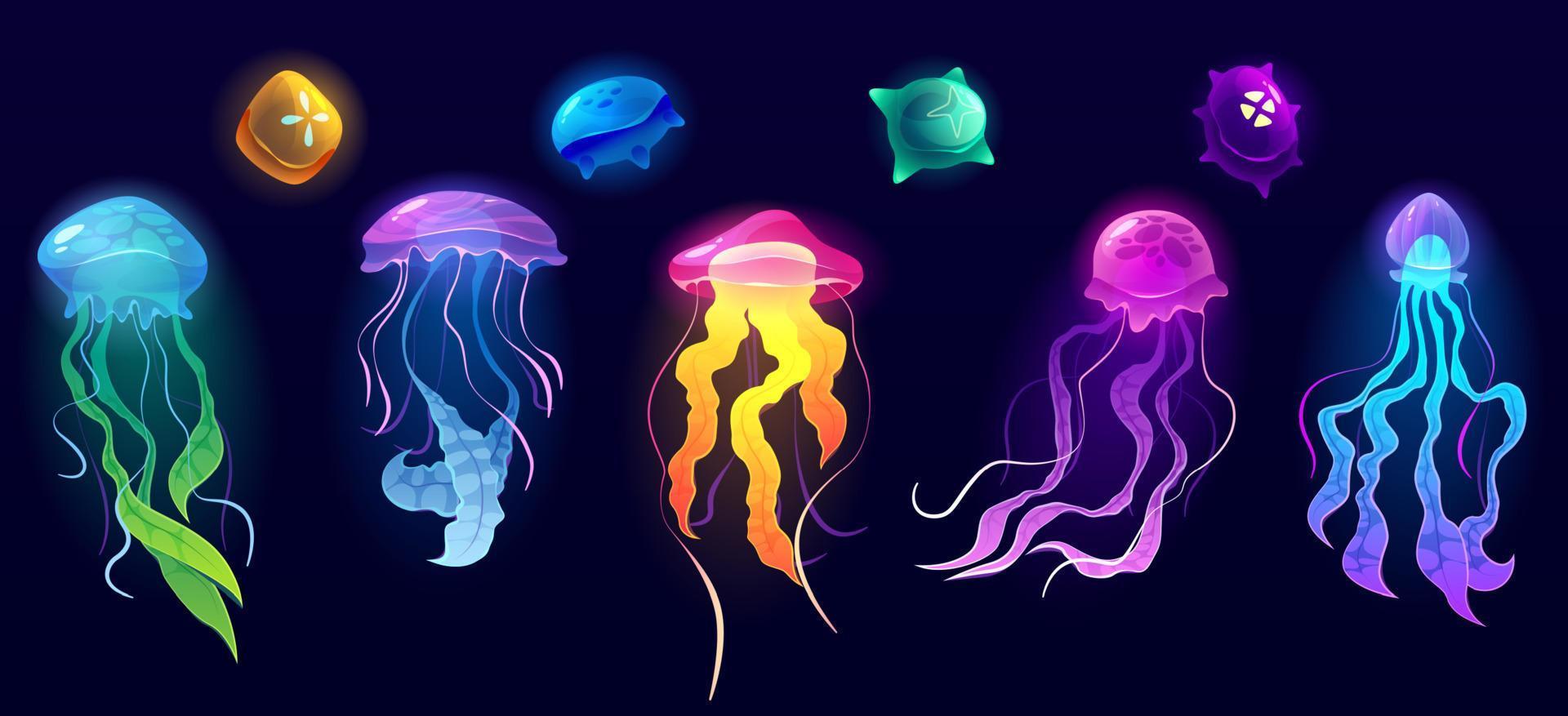 medusas animais subaquáticos, medusas coloridas vetor