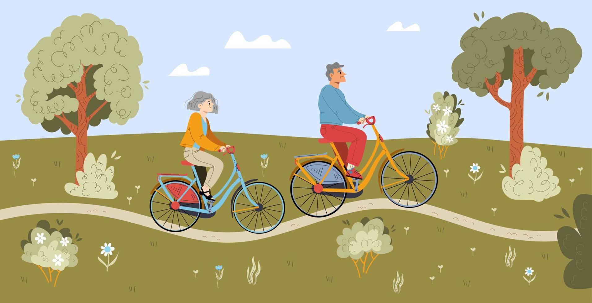 idosos andando de bicicleta no parque da cidade de verão vetor