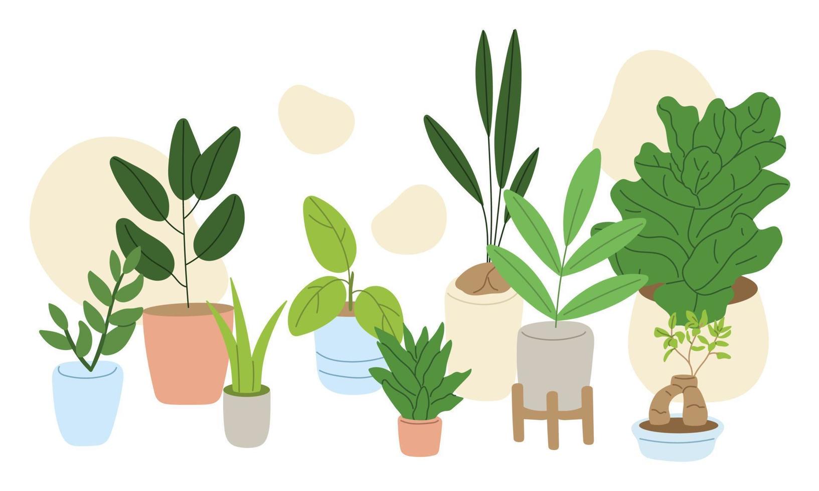 conjunto de plantas internas de casa em vaso. decoração de folhagem diferente. plantas para decoração de interiores de casas e escritórios. ilustração vetorial plana vetor