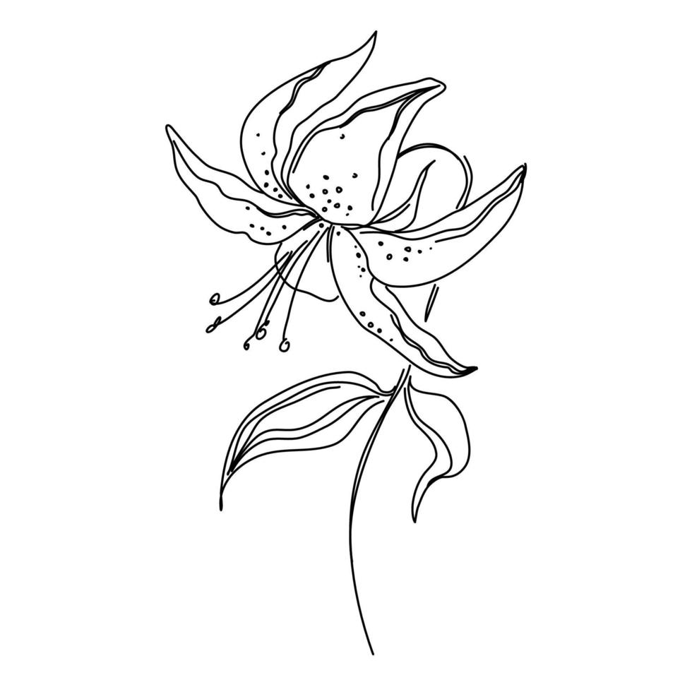 flor um desenho de linha. estilo minimalista floral. símbolo da natureza. impressão botânica. arte de linha contínua. impressão de flores. desenho botânico minimalista. vetor eps 10.