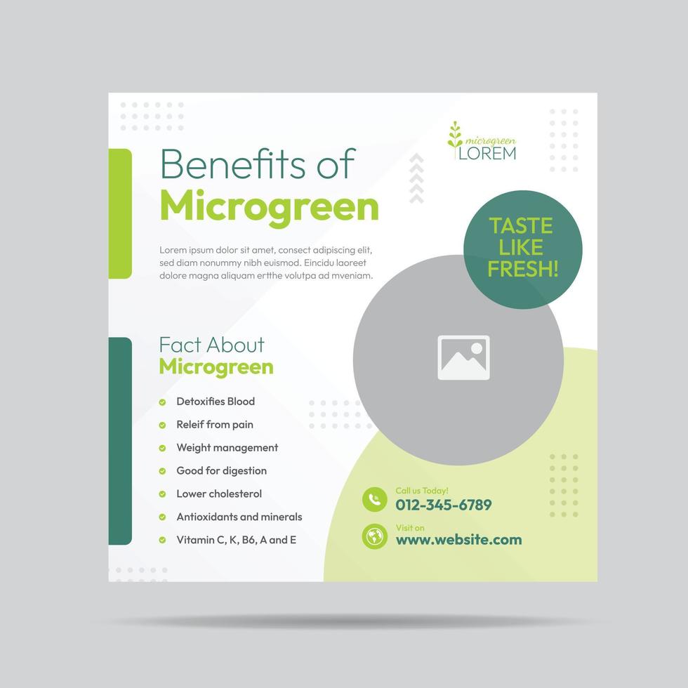 design de postagem de mídia social de benefício microgreen e modelo de banner de empresa de plantação microgreen vetor