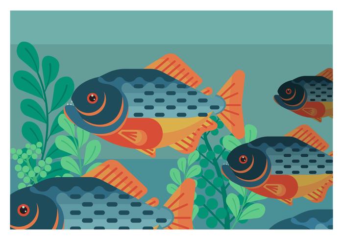 piranha flat geometric vector illustration