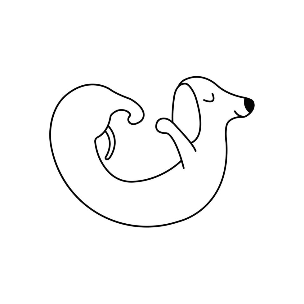 dachshund pratica ioga. vetor doodle cão de ioga isolado