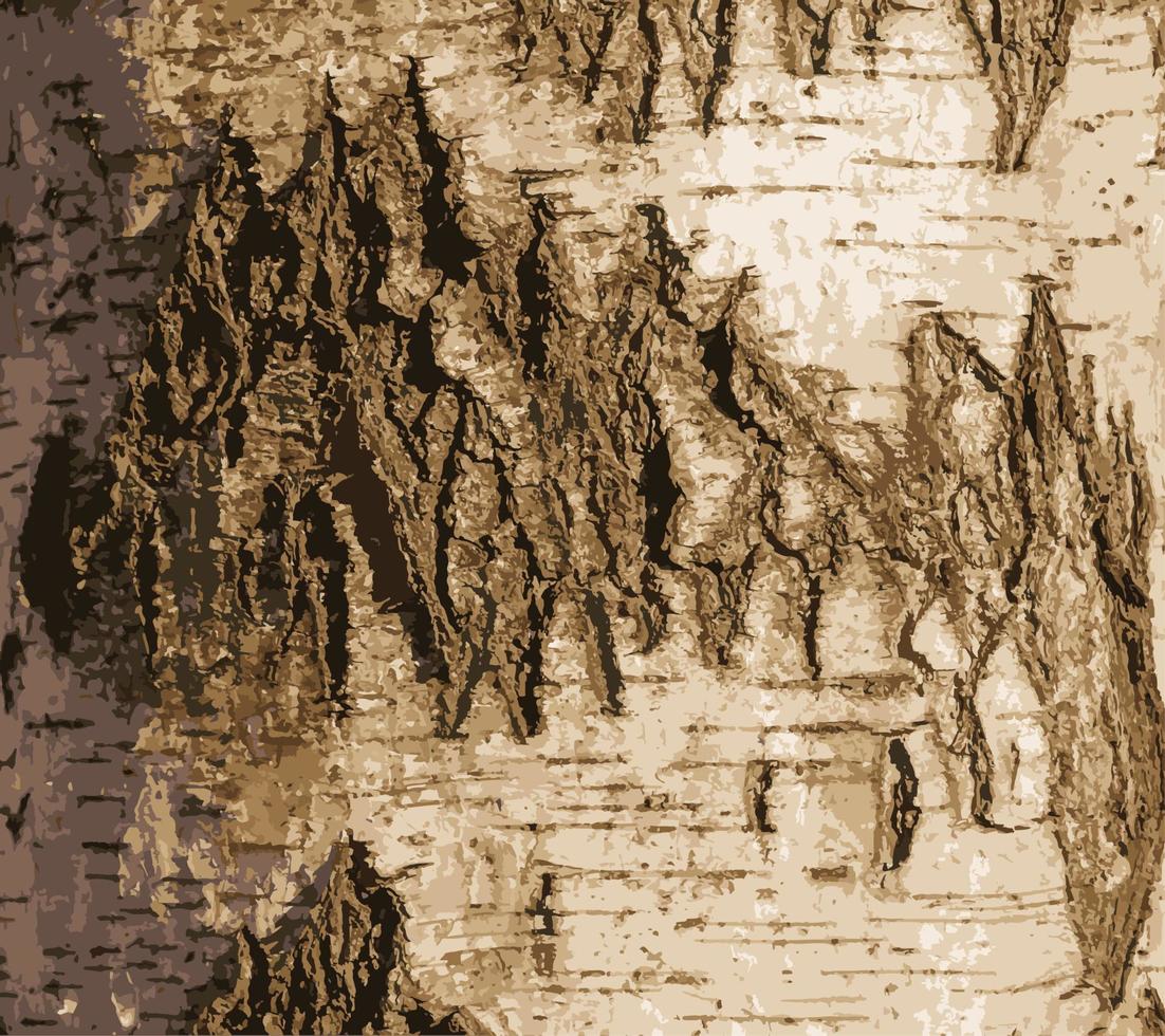 ilustração em vetor realista de textura de casca de bétula. textura de casca de bétula. fundo de bétula. tronco de bétula, betula pendula.