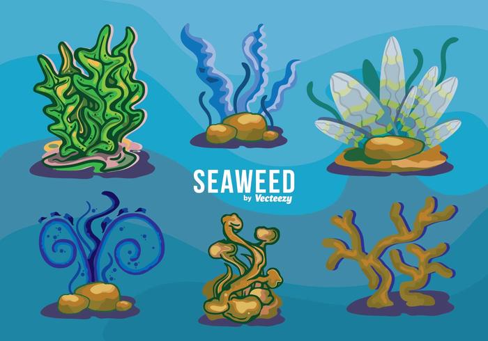 Conjunto de variações de algas subaquáticas vetor