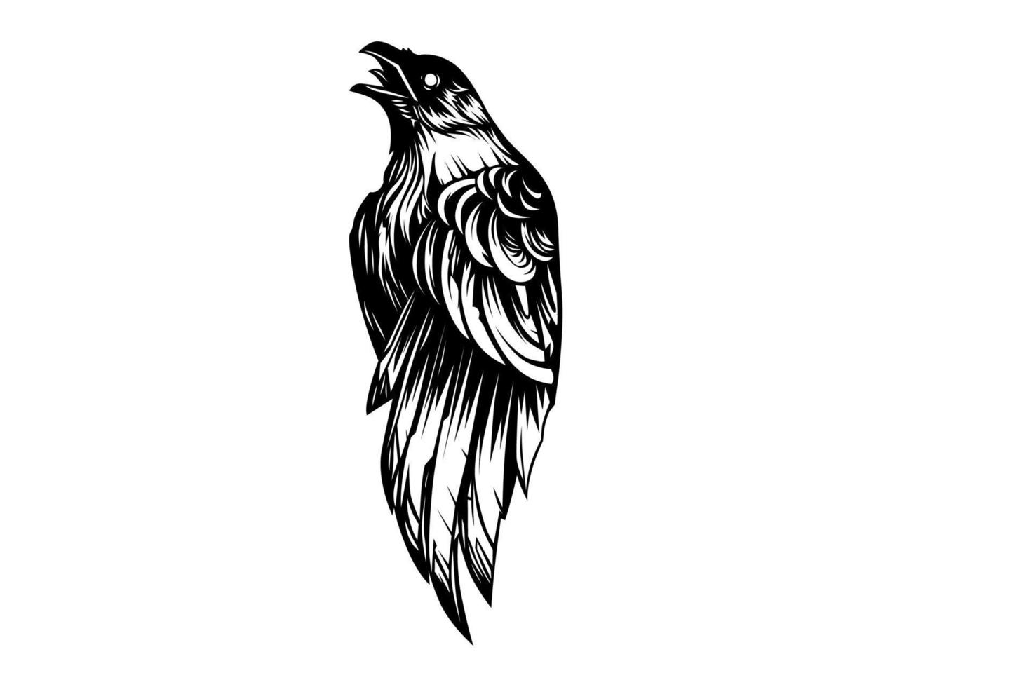 corvo preto ilustração branca, vetor de pássaro corvo preto branco,