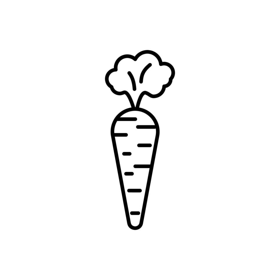 ícone de cenoura de vetor de contorno. isolado no fundo branco.