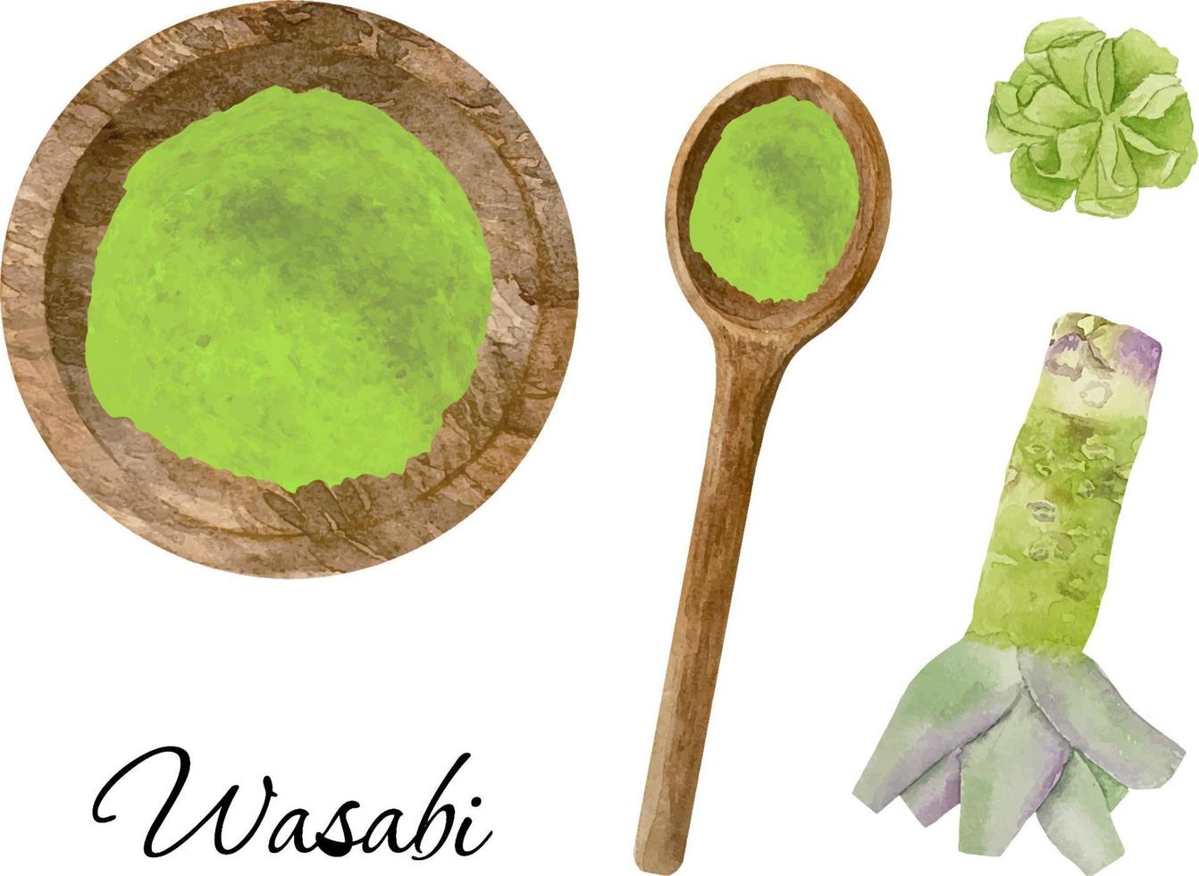 wasabi fresco e seco em aquarela em tigela de madeira e colher vetor