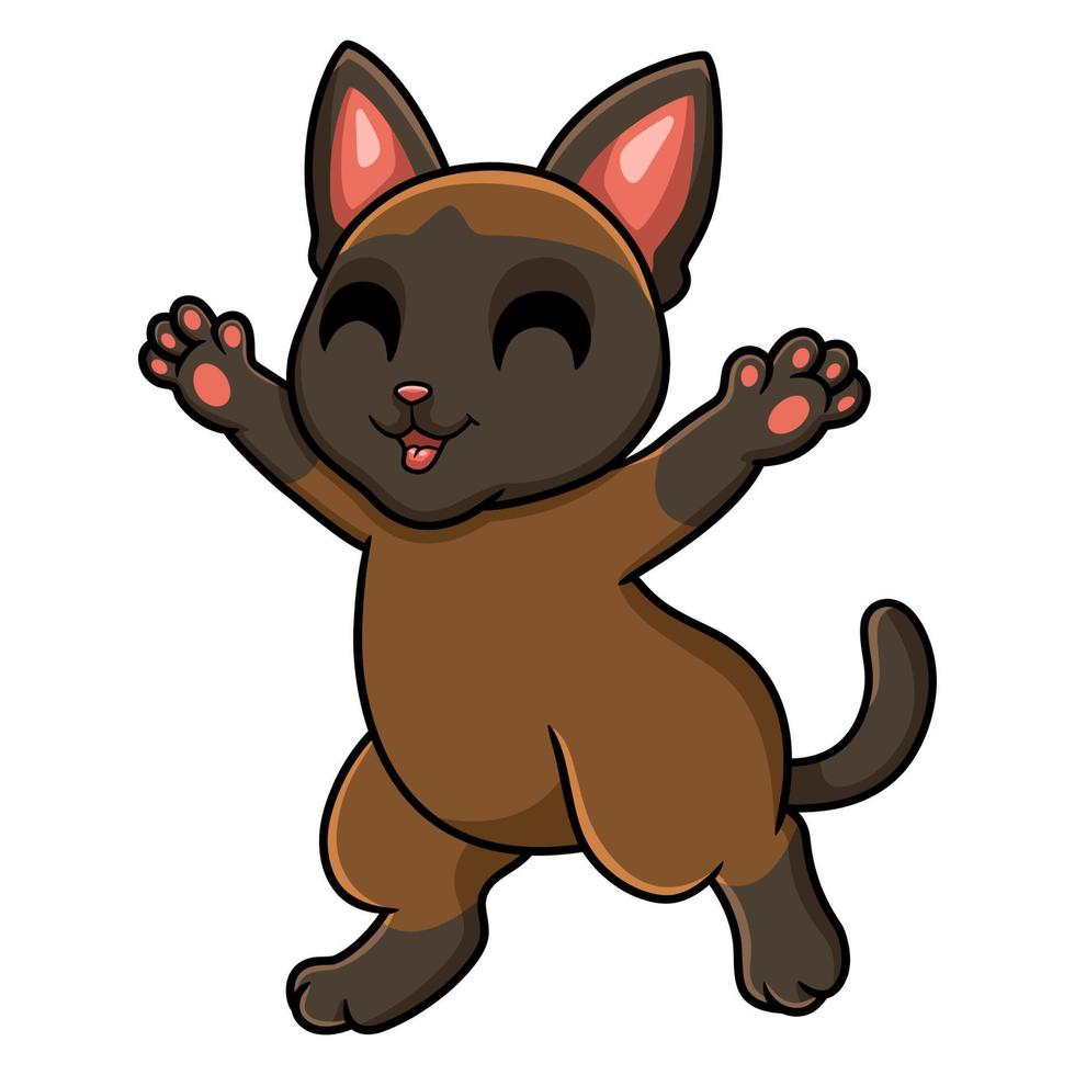 desenho de gato tonkinese fofo levantando as mãos vetor