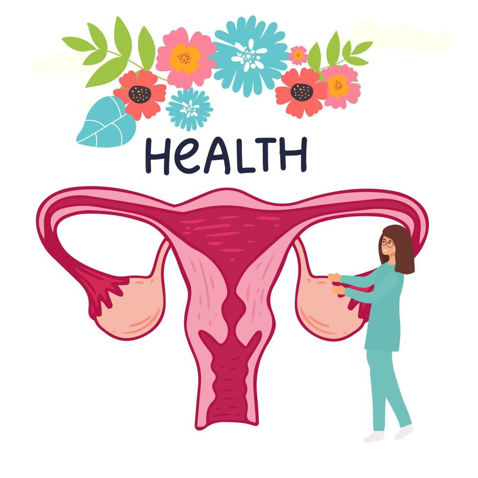 ciclo menstrual feminino. página de destino médica rastreando o ciclo menstrual. ilustração vetorial do sistema reprodutor feminino vetor