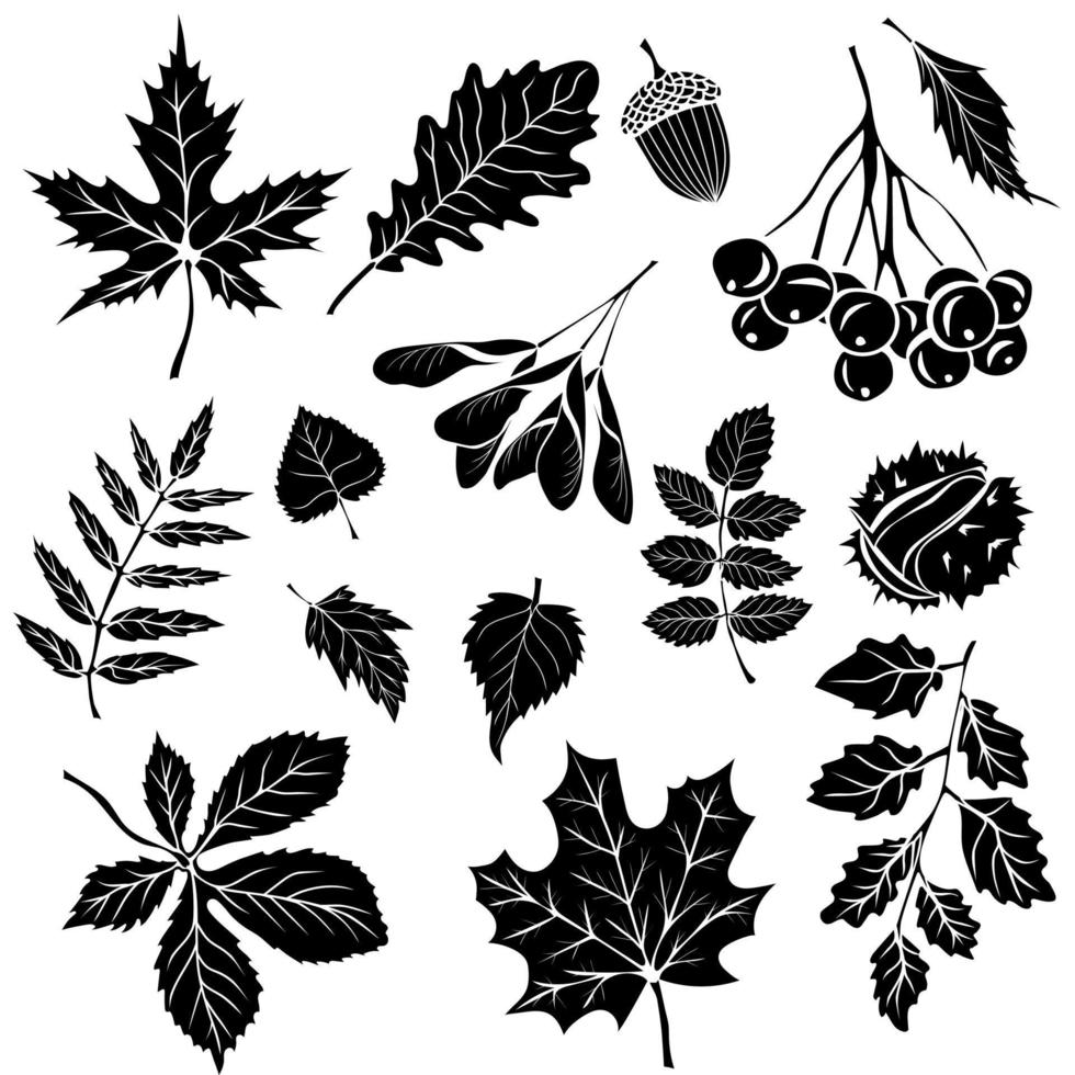 conjunto vetorial de silhuetas decorativas de folhas de outono vetor