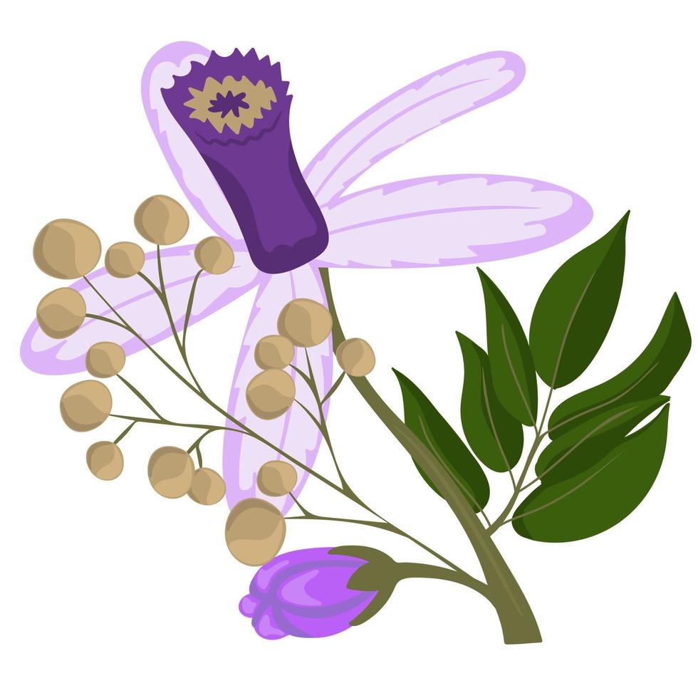 flores de cinamomo. ilustração vetorial vetor