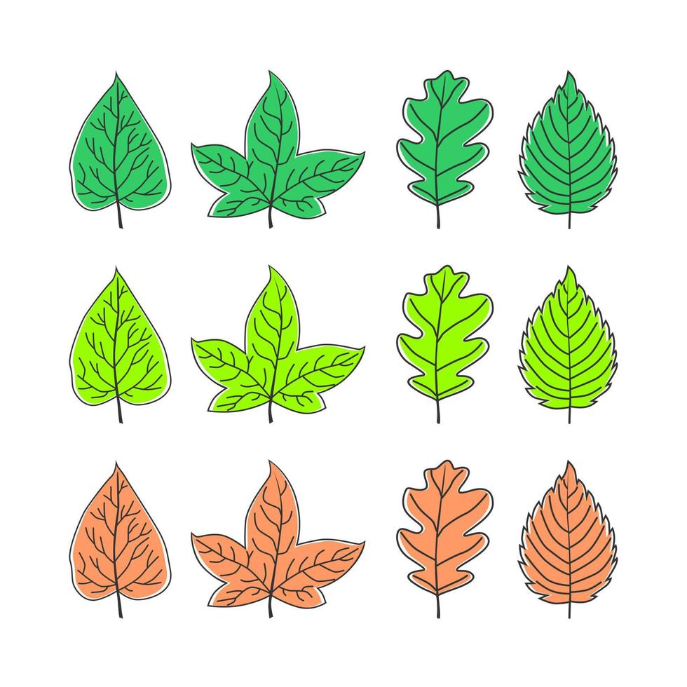 tipos de folhas imagem ícone gráfico logotipo design conceito abstrato vetor estoque. pode ser usado como um símbolo relacionado à natureza ou planta