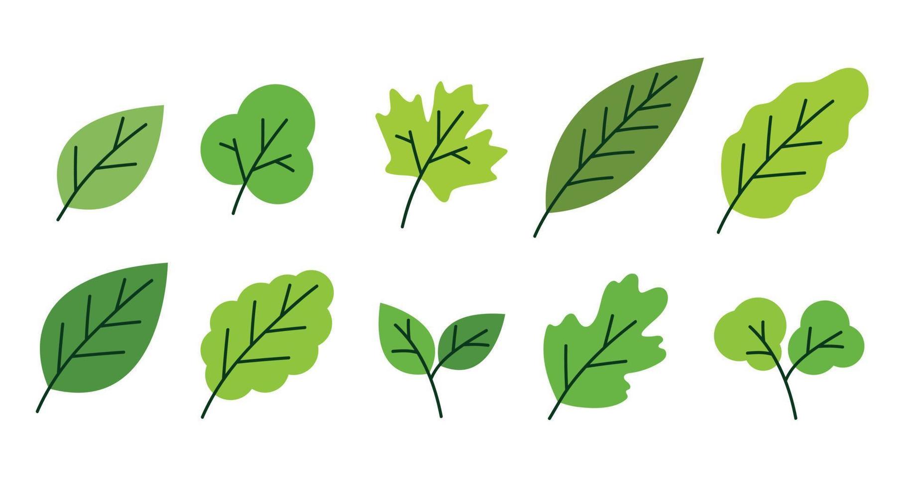 ilustração simples do vetor de elementos de folhas verdes