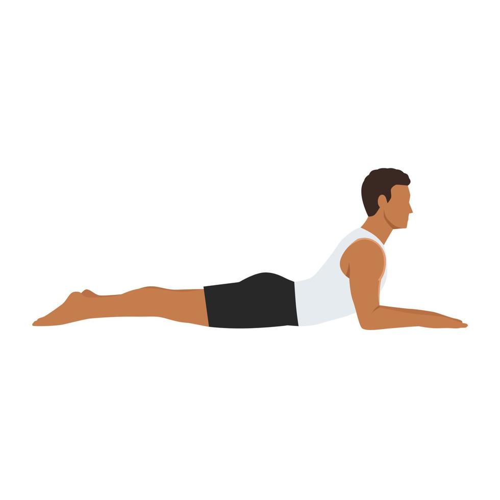 homem fazendo exercício de pose de esfinge salamba bhujangasana. ilustração vetorial plana isolada no fundo branco vetor