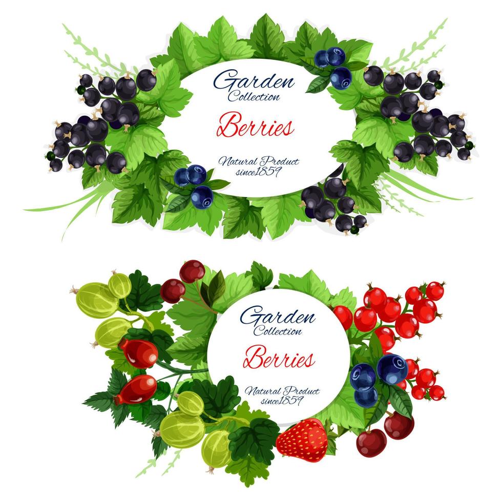 ícones de bagas de jardim com frutas em galhos de folhas vetor