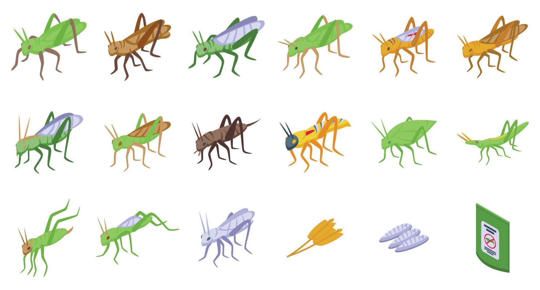 ícones de gafanhoto definir vetor isométrico. inseto verde