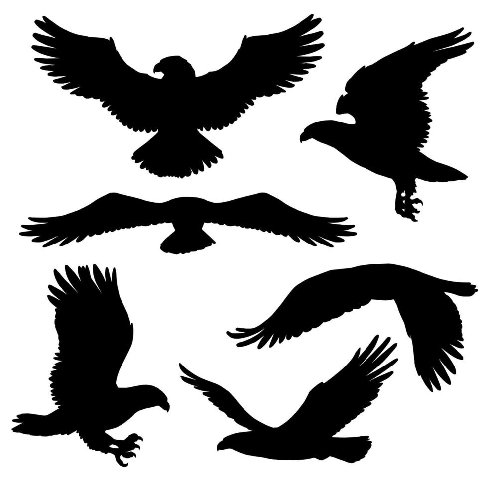 silhuetas de águia ou falcão com asas largas vetor