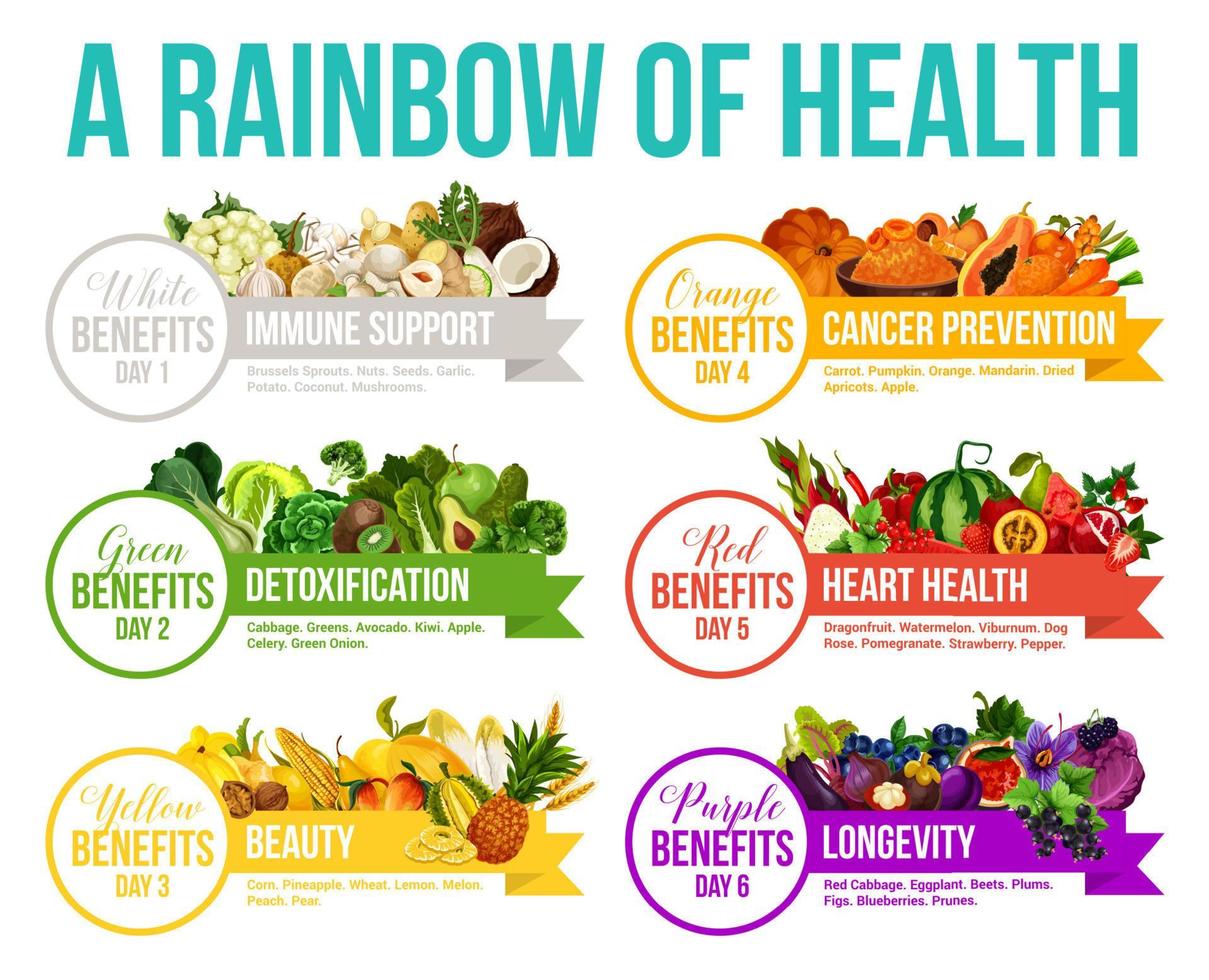 frutas e legumes do arco-íris da dieta colorida vetor
