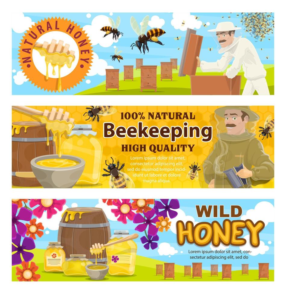 apicultura e mel silvestre no apiário vetor