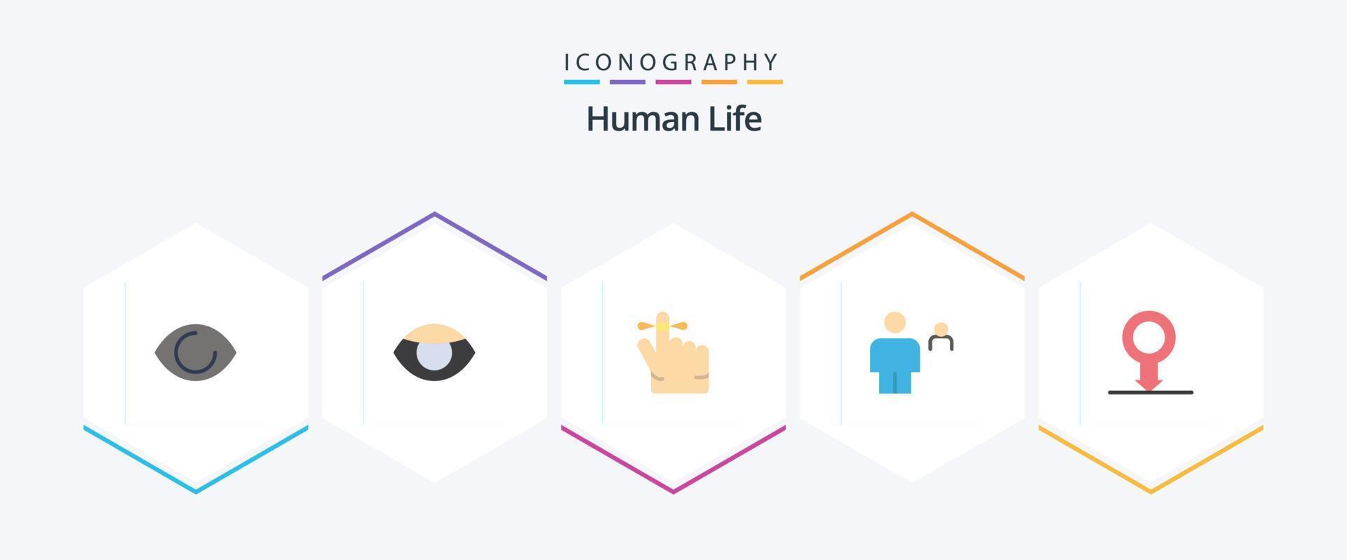 pacote de ícones planos humanos 25, incluindo . . corpo. sexo. humano vetor