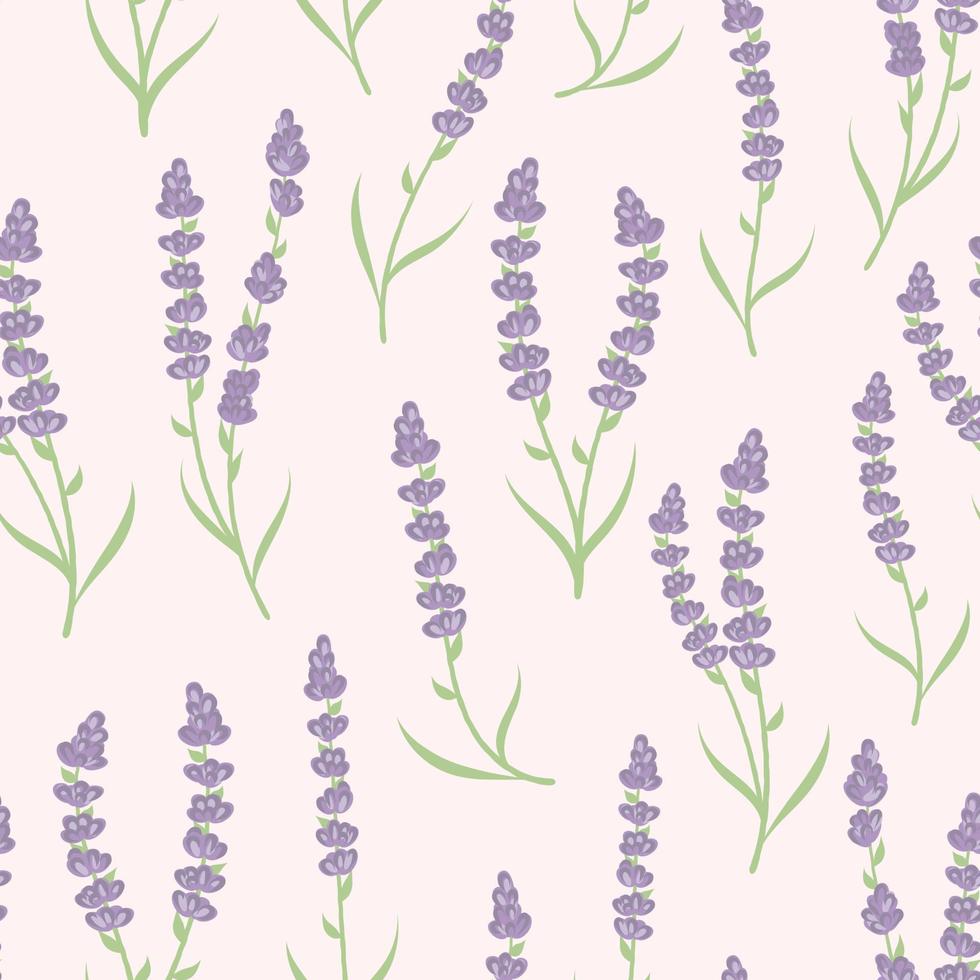 padrão sem emenda de lavanda, de fundo vector. flor de lavanda. vetor