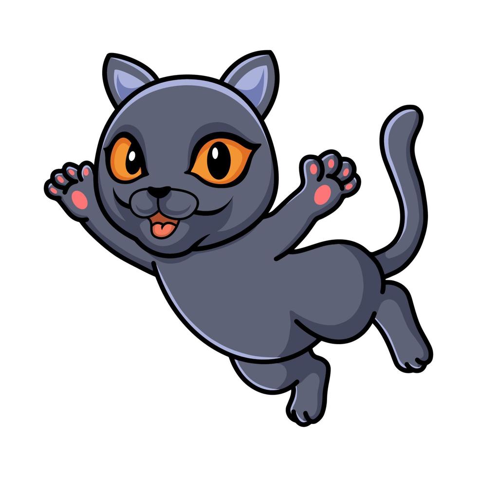 bonito desenho animado de gato de pelo curto britânico voando vetor