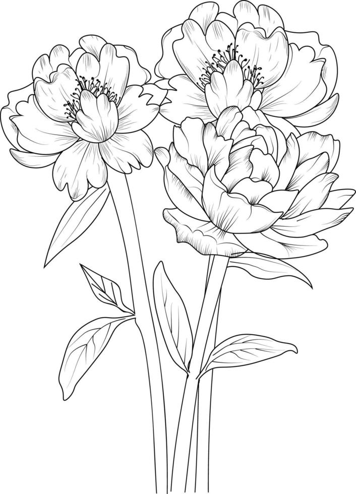 arte de esboço de flor de peônia. desenho de contorno preto é perfeito para colorir páginas ou livros para crianças ou adultos, simplicidade, enfeite, buquês de flora. vetor