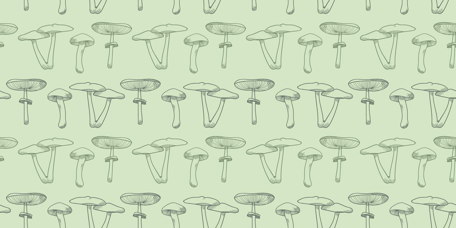 fundo de padrão de vetor de cogumelo, ilustração botânica