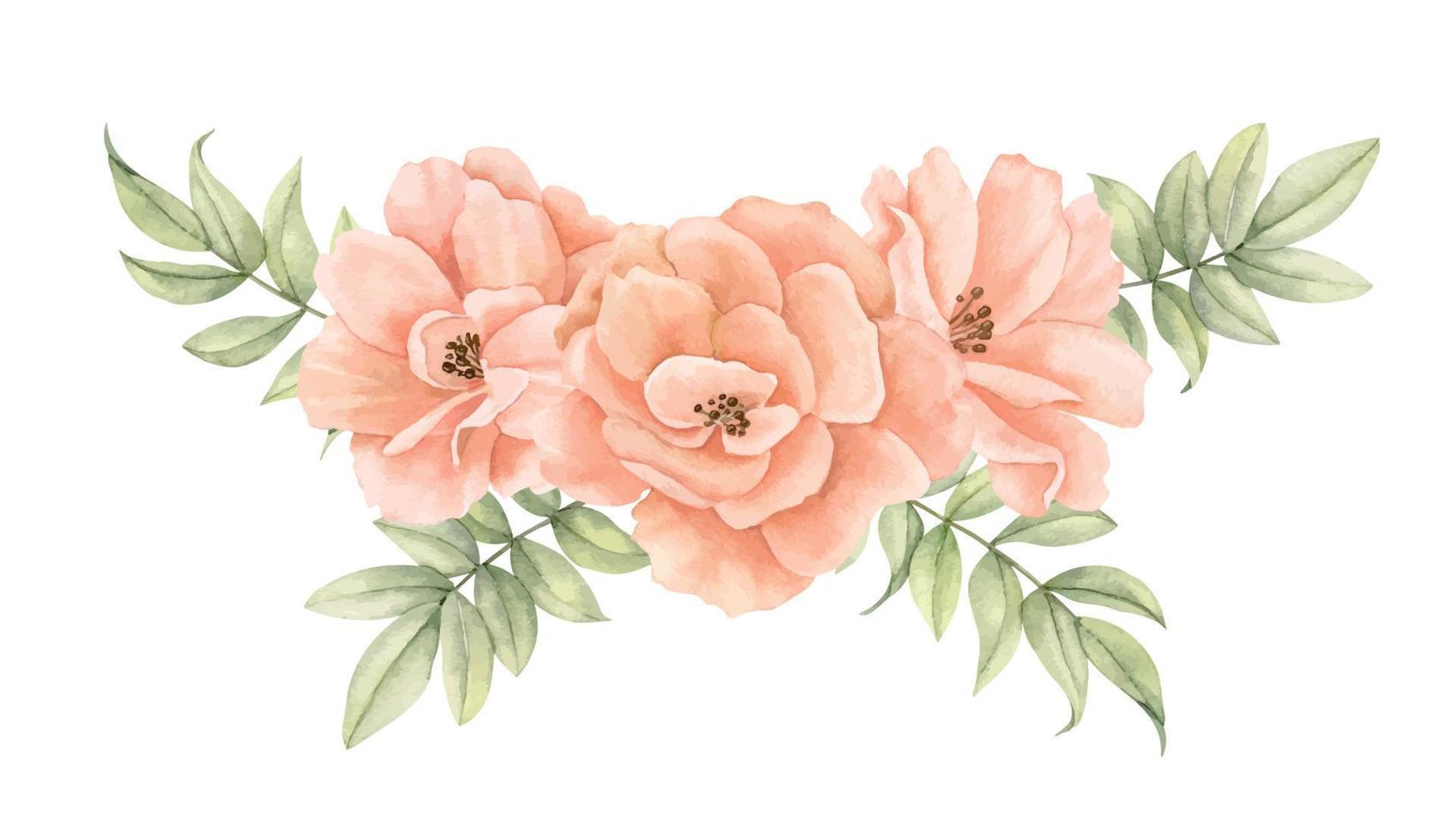 rosas rosa pêssego em aquarela com folhas verdes. ilustração desenhada à mão de buquê floral em tons pastéis cremosos em fundo isolado. desenho de flores delicadas para convites ou cartões de casamento vetor