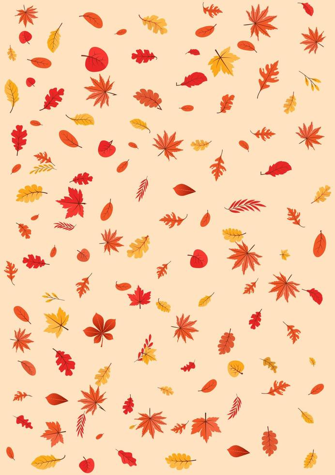 a queda colorida do outono deixa a ilustração floral do fundo com folha de plátano vetor